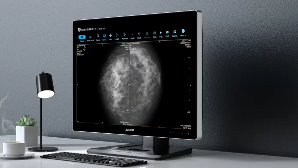 Monitor de diagnóstico marca JUSHA, modelo C1210G - Imagen 2