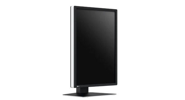 Monitor de diagnóstico marca EIZO, modelo RX270