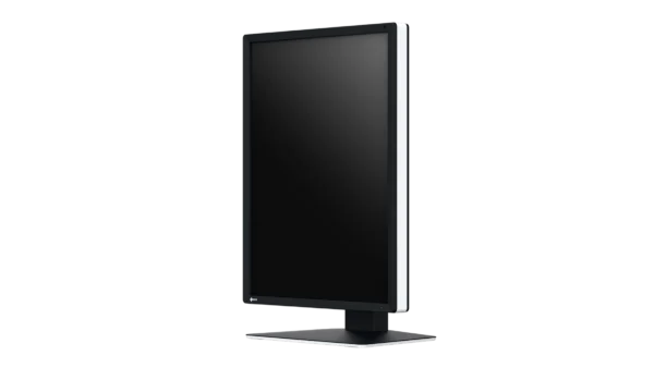 Monitor de diagnóstico marca EIZO, modelo RX270 - Imagen 2