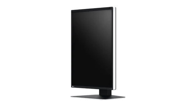 Monitor de diagnóstico marca EIZO, modelo RX370 - Imagen 2